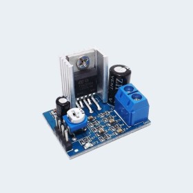 TD2030A Audio amplifier Module